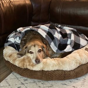 Meet your Posher, Kristen